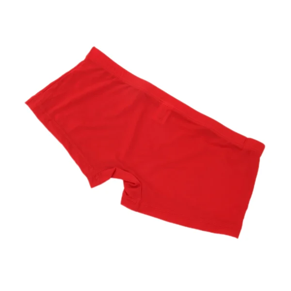Inferno Ice Silk Trunks - Image 3