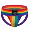 JOCKMAIL - Pride Classic Style Jock & Harness - Image 2