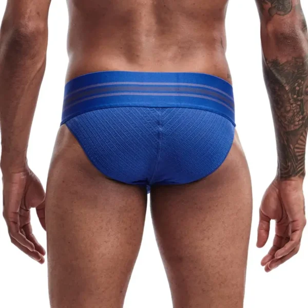 JOCKMAIL - Blue Jock-Style Tanga Briefs - Image 4
