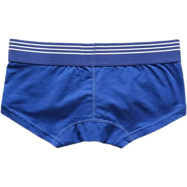 SEOBEAN - Blue Sport Stripe Boxer-Briefs - Image 2