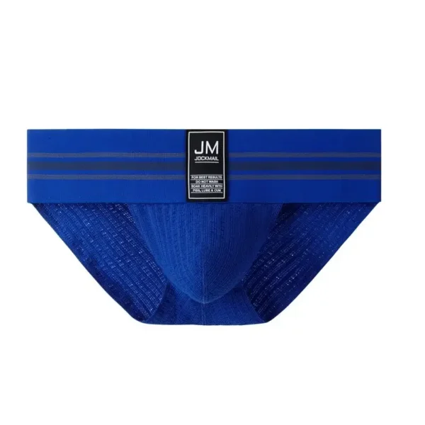JOCKMAIL - Blue Jock-Style Tanga Briefs - Image 2